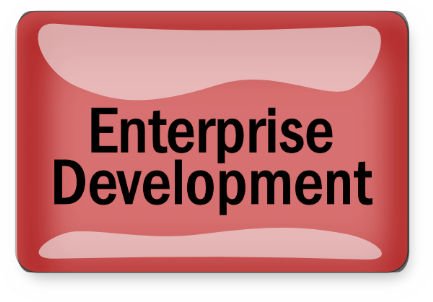enterprise development
