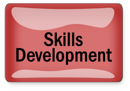 Skills Development